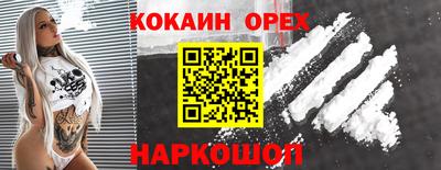 сатива Новокубанск