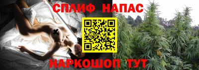 скорость Новодвинск